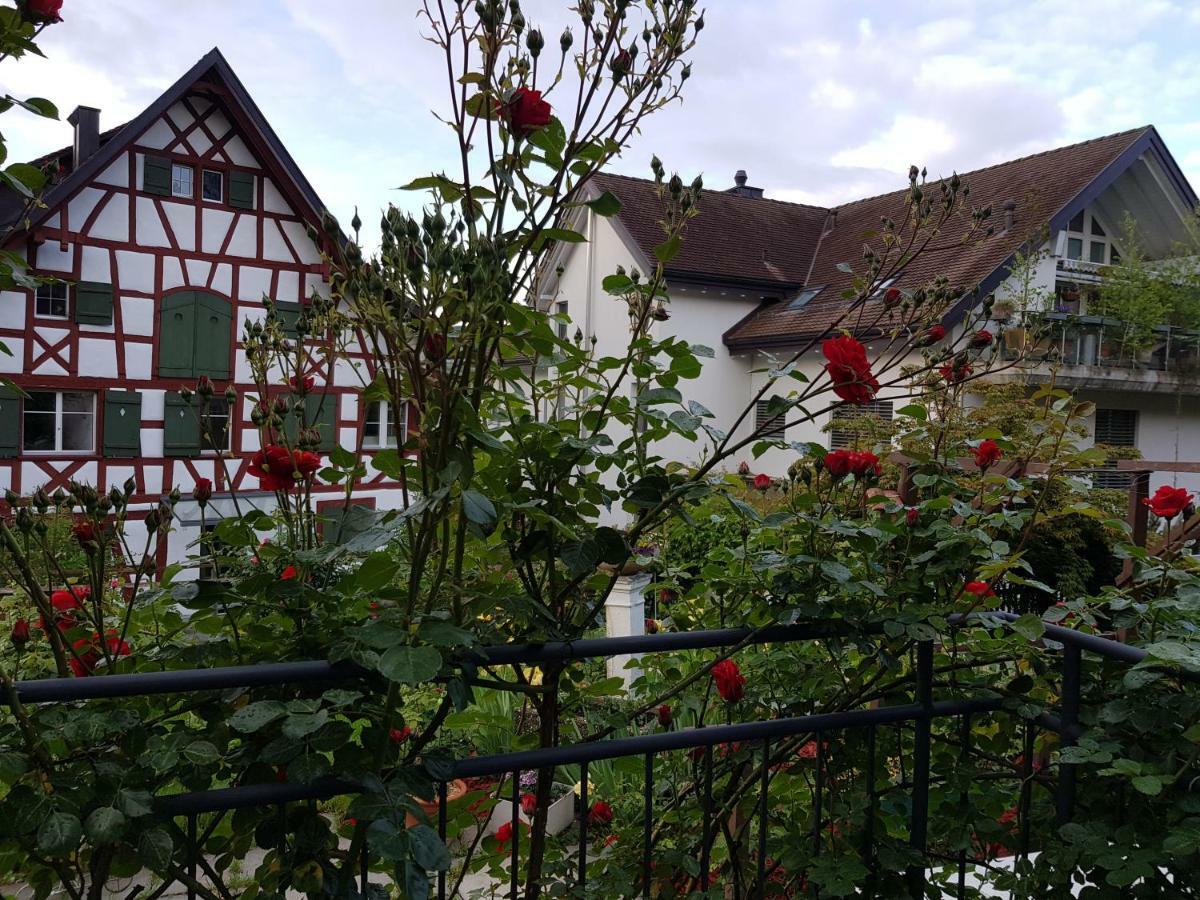 Garni-Hotel Muehletal Stein Am Rhein Exterior foto