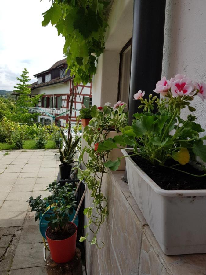 Garni-Hotel Muehletal Stein Am Rhein Exterior foto